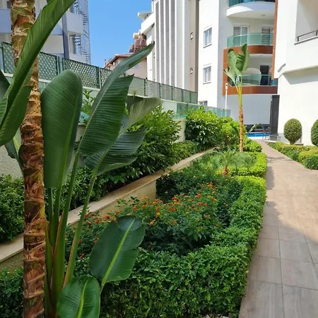 Best Home - Kleopatra